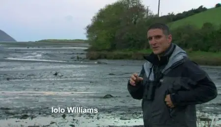 BBC - Secret Life of Birds (2012)