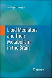 Lipid Mediators and Their Metabolism in the Brain