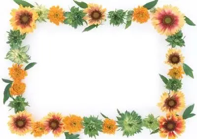 Flowers Frame for Photoshop
