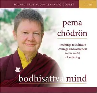 Bodhisattva Mind: Teachings to Cultivate Courage and Awareness in the Midst of Suffering [Repost]