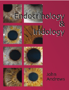 Endocrinology and Iridology
