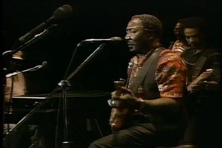 Muddy Waters - Live At The Chicago Blues Festival (1998)