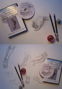 How to Draw the Hand and Foot [repost]