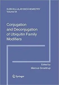 Conjugation and Deconjugation of Ubiquitin Family Modifiers