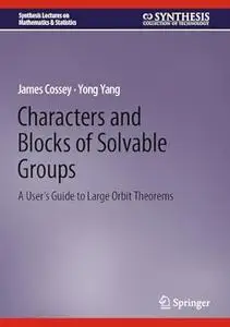 Characters and Blocks of Solvable Groups