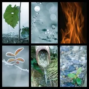 Stock Photo - Nature/Secrets