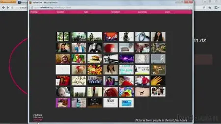 Interactive Data Visualization with Processing