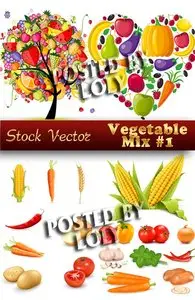 Vegetable mix - Stock Vector