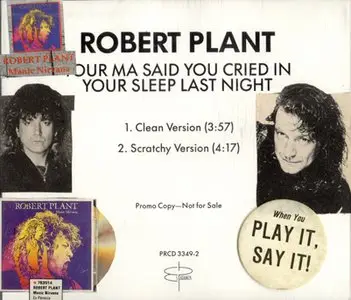Robert Plant - Your Ma Said You Cried In Your Sleep Last Night (1990) [Promo CD single]