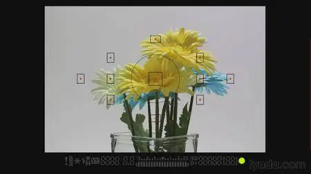 Lynda - Up and Running with the Canon 6D [repost]