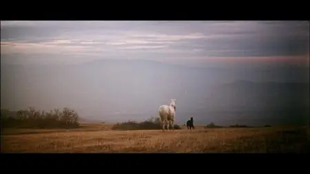 Emil Loteanu - Tabor ukhodit v nebo aka Gypsies Are Found Near Heaven (1975)