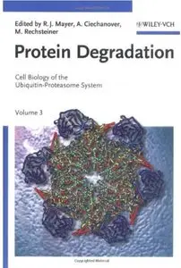 Protein Degradation. Volume 3: Cell Biology of the Ubiquitin-Proteasome System [Repost]