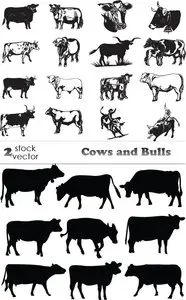 Vectors - Cows and Bulls