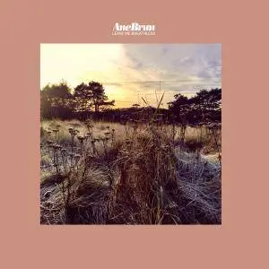 Ane Brun - Leave Me Breathless (2017)