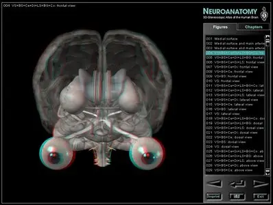 Neuroanatomy: 3D-Stereoscopic Atlas of the Human Brain
