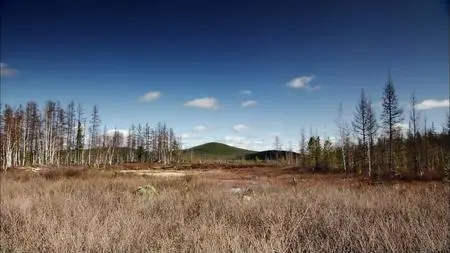 ZDF - Big Bang in Tunguska (2008)