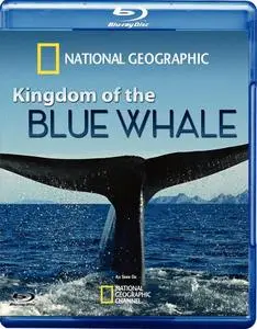 National Geographic - Kingdom of the Blue Whale (2009)