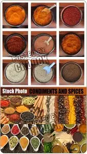 Stock Photo: Condiments and spices