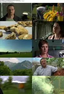 Channel 5 - Mysteries of The Vampire Skeletons: Revealed (2011)