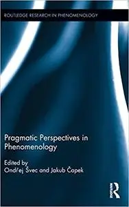 Pragmatic Perspectives in Phenomenology