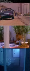 Desert Passion (1993)