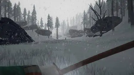 The Long Dark (2017)