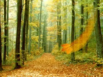 Extraordinary High resolution  Images Of Fall Color V2