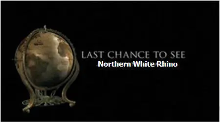 Last Chance to See ep02 Northern White Rhino