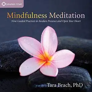 Mindfulness Meditation: Nine Guided Practices to Awaken Presence and Open Your Heart [Audiobook]