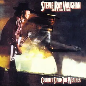 Stevie Ray Vaughan & Double Trouble - Original Album Classics (2013) 5CD Box Set