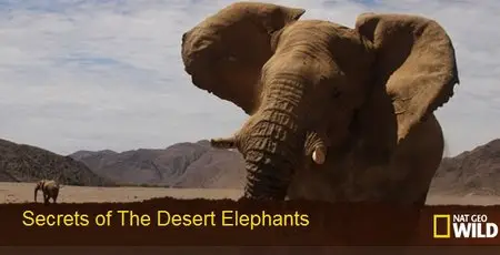 National Geographic - Secrets of The Desert Elephants (2014)