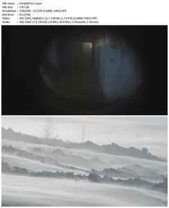 A Moon of Nickel and Ice (2017)