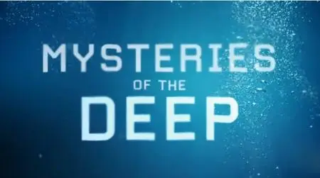 DC. - Mysteries of the Deep: The Bermuda Triangle Conspiracy (2020)