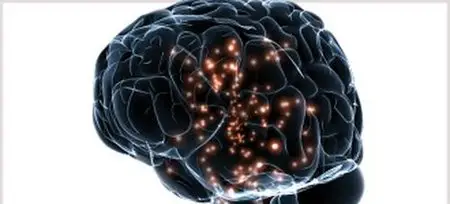 Origins of the Human Mind (Audiobook)