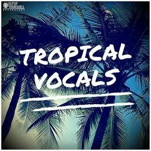 Out Of Your Shell Sounds Tropical Night Vocals WAV MiDi