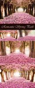 Stock Photo - Romantic Spring Park