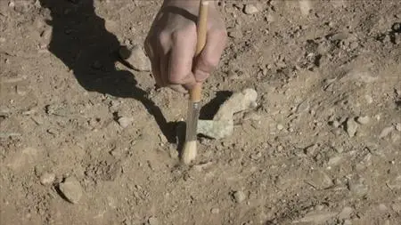 Oman: The Treasure Of Mudhmar (2018)