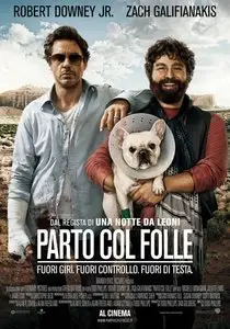 Parto col folle (2010)