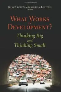 What Works in Development?: Thinking Big and Thinking Small (repost)