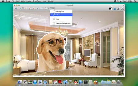 Draw 2.8.1