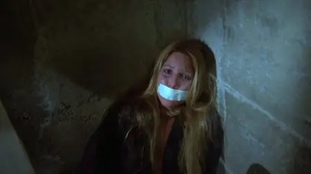 Killer's Delight (1978)