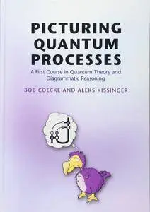Picturing Quantum Processes