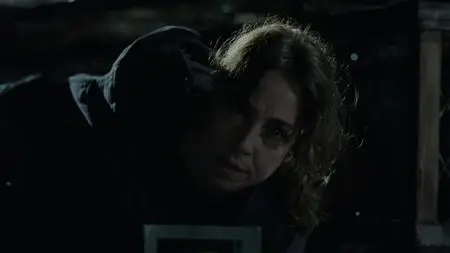 The Killing S03E09