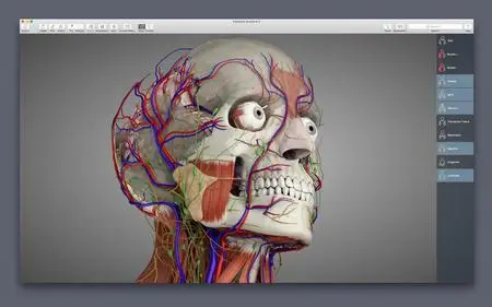 Essential Anatomy v5.0.5 macOS