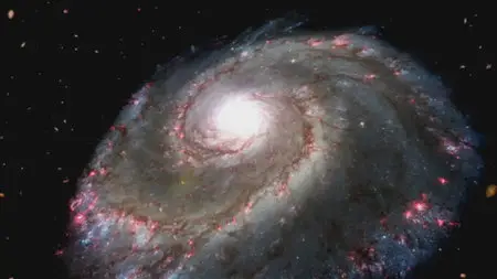 The Universe. Season 1, Episode 14 - Beyond the Big Bang (2007)