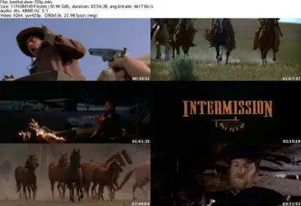 Dances With Wolves Director's Cut (1990)