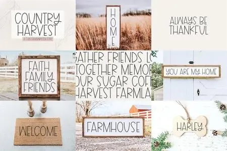 Country Harvest - Thin Handwritten Font