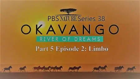 PBS - Nature Series 38 Part 5: Okavango: River of Dreams :Episode 2 Limbo (2019)