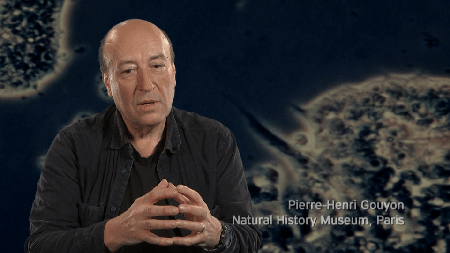 Our Genes Under Influence (2015)
