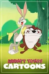 Looney Tunes Cartoons S04E20